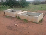 Alg I2 DSC00124.jpg