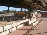 HopeT LS B2 DSC00478.jpg