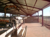 HopeT LS B3 DSC00480.jpg