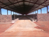 HopeT LS B4 DSC00507.jpg