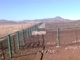 Thaba DSC00022.jpg